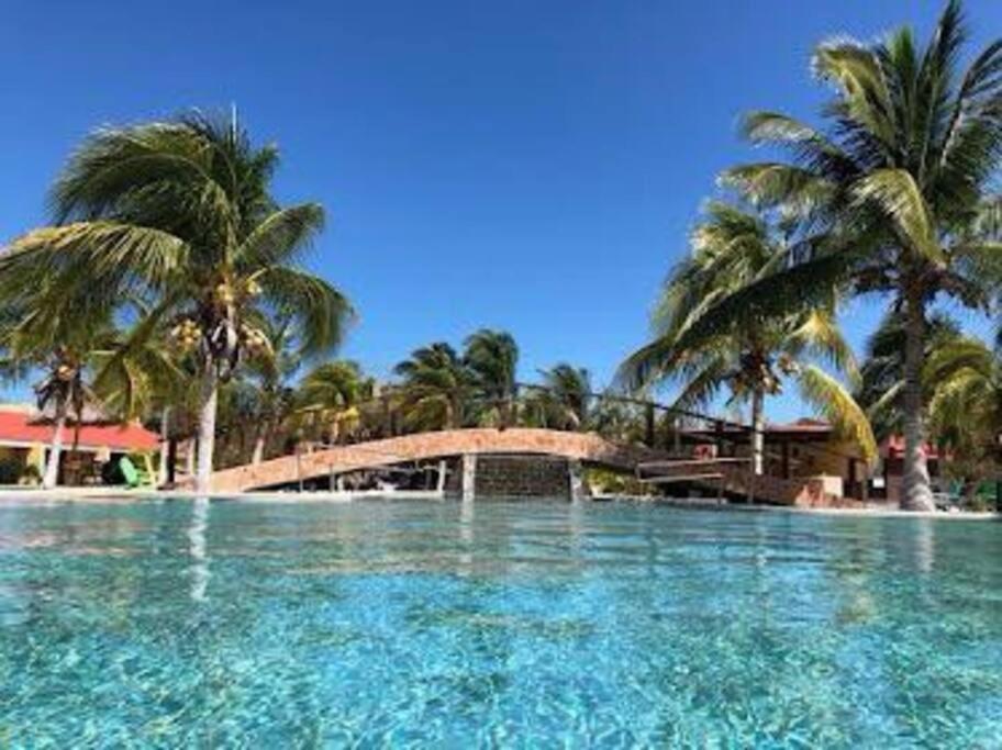 Beachfront Apartment With Swimming Pool. One Bedroom Селестун Екстериор снимка