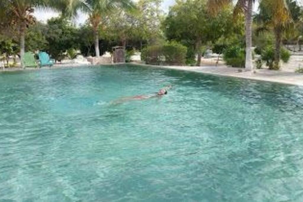Beachfront Apartment With Swimming Pool. One Bedroom Селестун Екстериор снимка